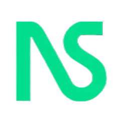 NS Logo